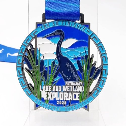lake and wetland medal